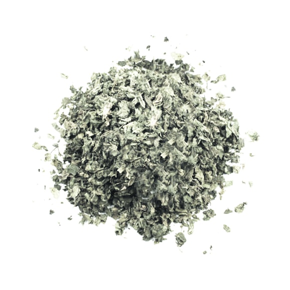 Nana-Minze geschnitten